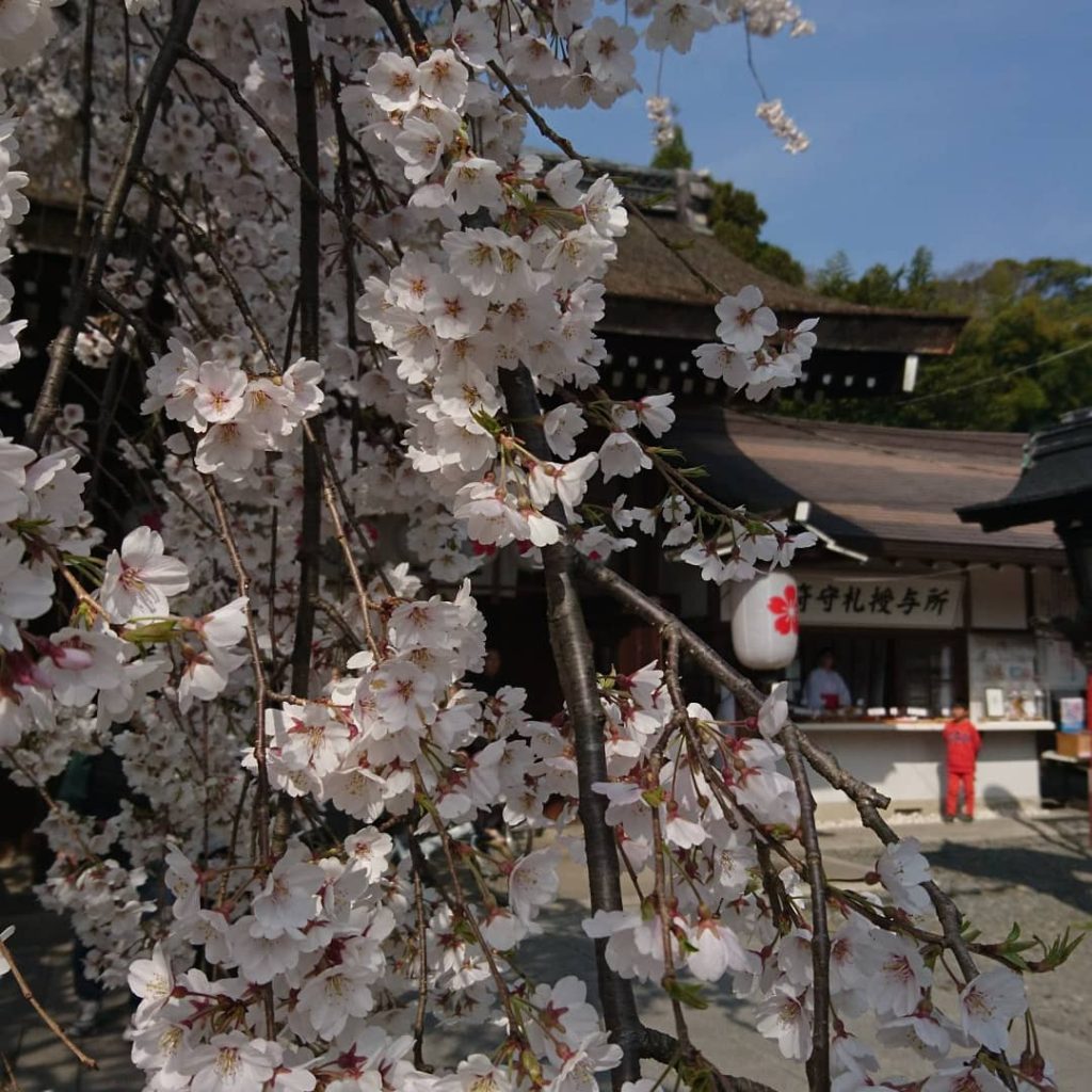 平野神社　京都