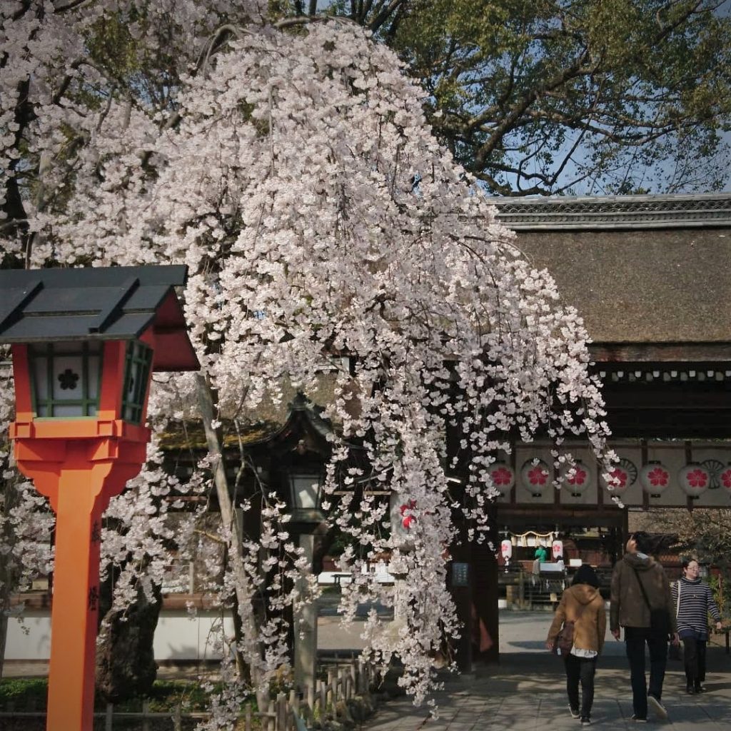 平野神社　東門 京都