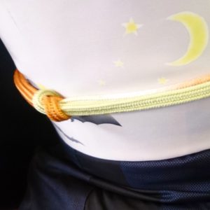 袷 大島紬 ハロウィン　名古屋帯