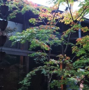 京町家　中庭　京都