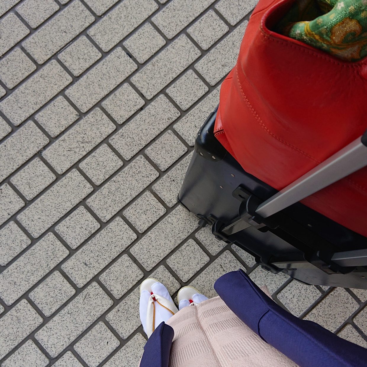 出張うキモノ　移動の時　今小路 あま宮　卯月の着物