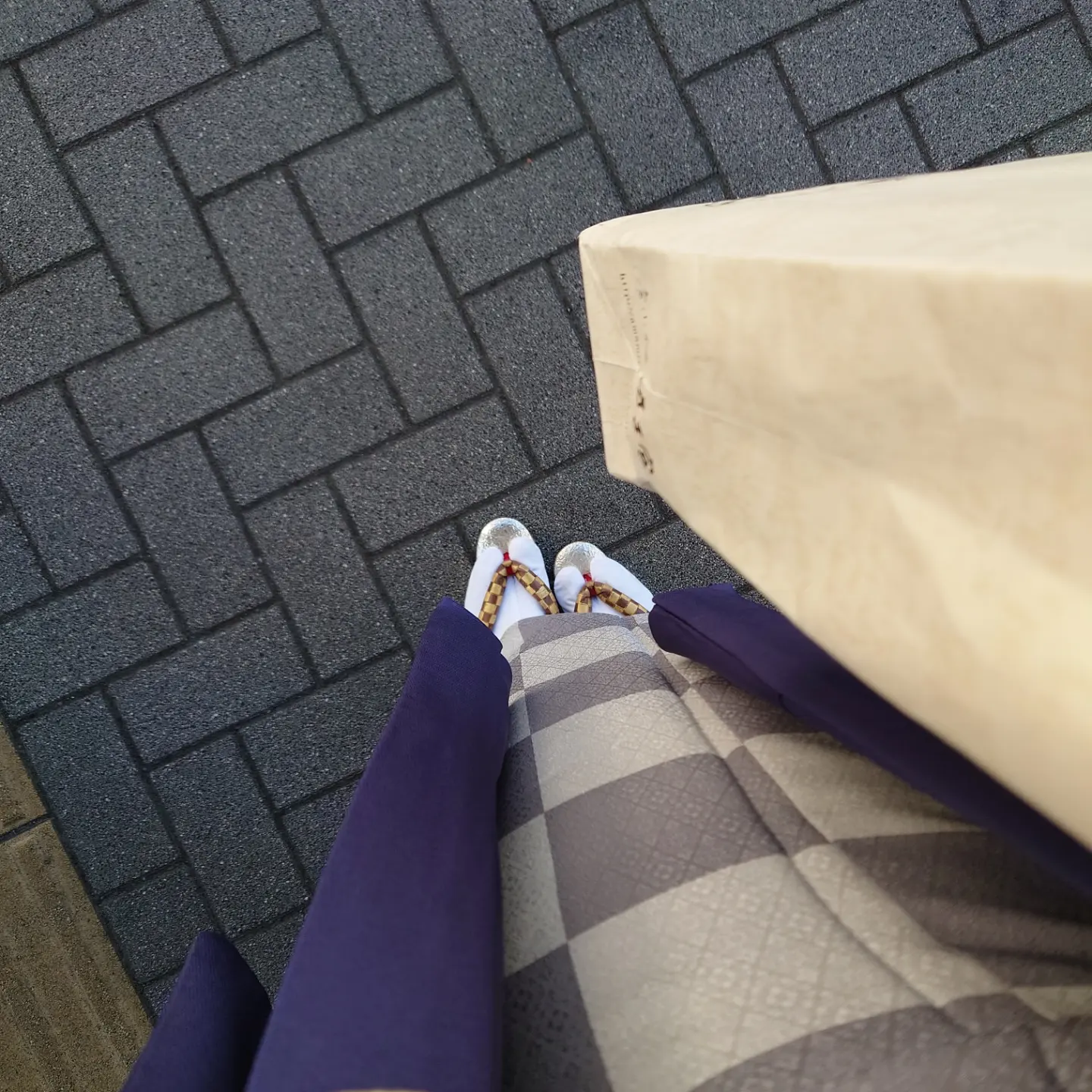 単衣羽織 古伊万里文 京都 今小路 あま宮