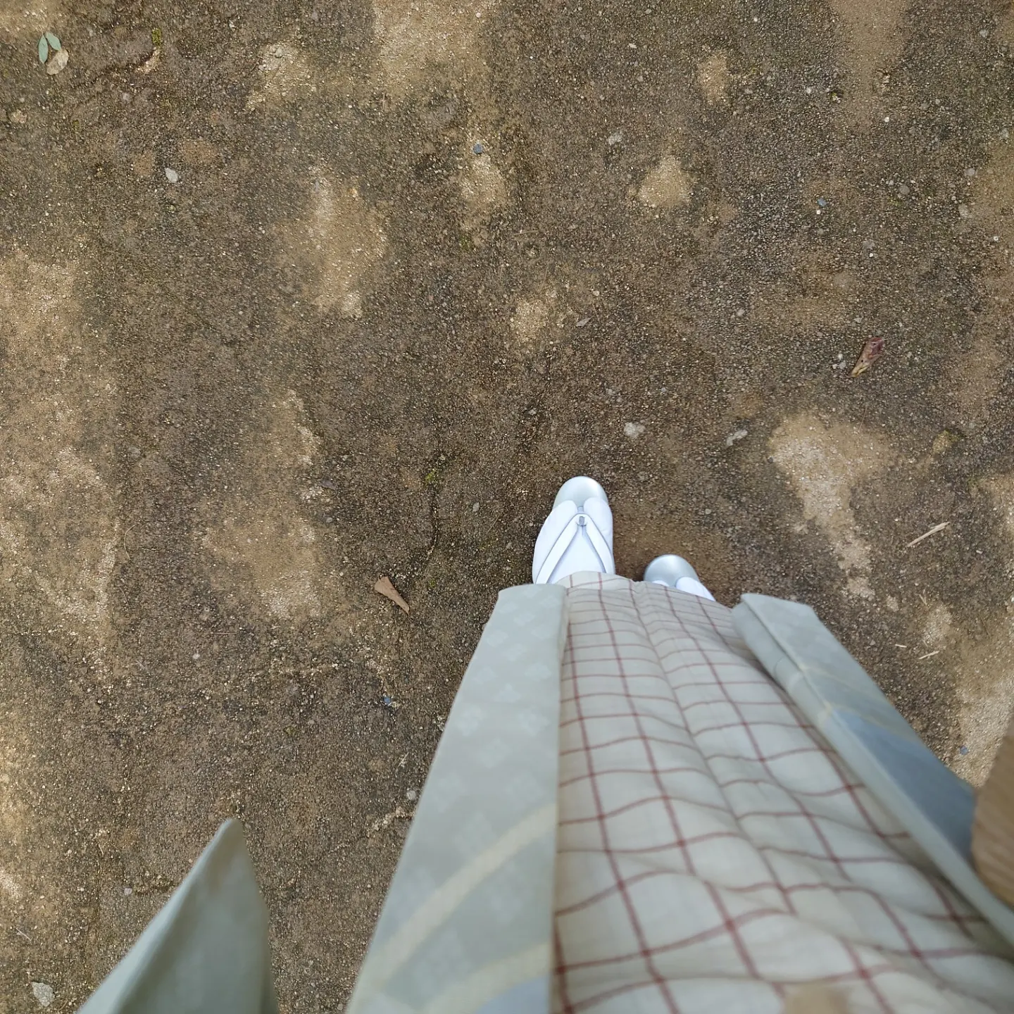 薄羽織 絵羽織 染分け疋田松葉 今小路 あま宮 今小路 あま宮 別誂え 神無月のキモノ