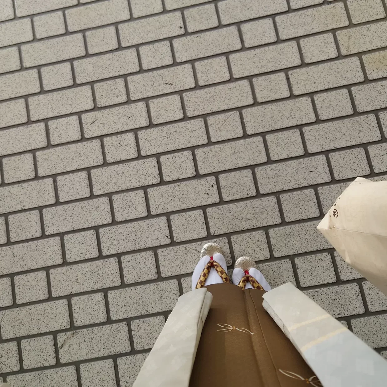 単衣　小紋　飛び柄小紋　花七宝　織の九寸名古屋帯　手織　草木染め　刺繍　芒　薄羽織　染分け疋田松葉　今小路 あま宮　神無月のキモノ