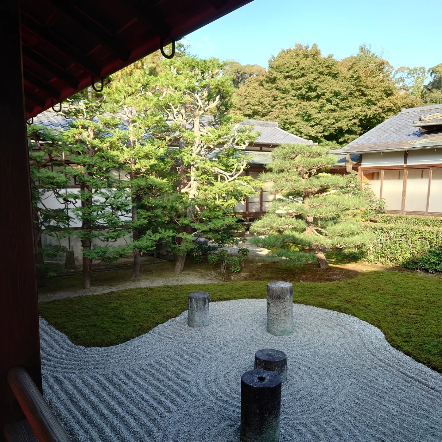 東福寺 2022年秋 京都