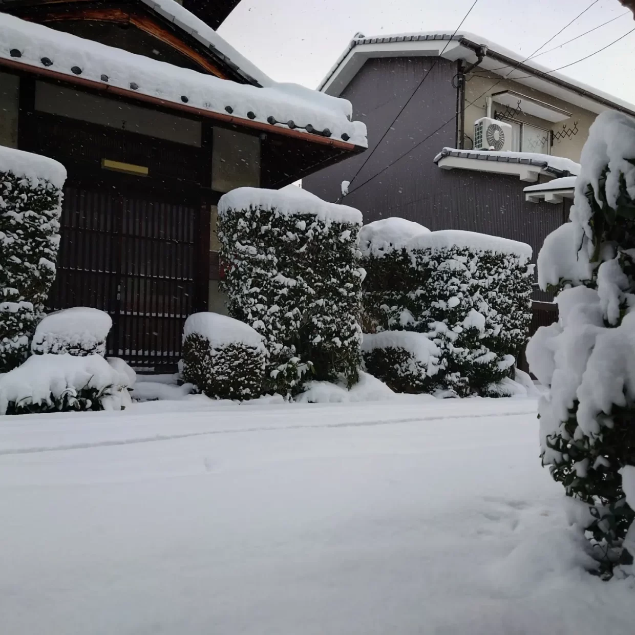京都　雪　2023年1月25日　