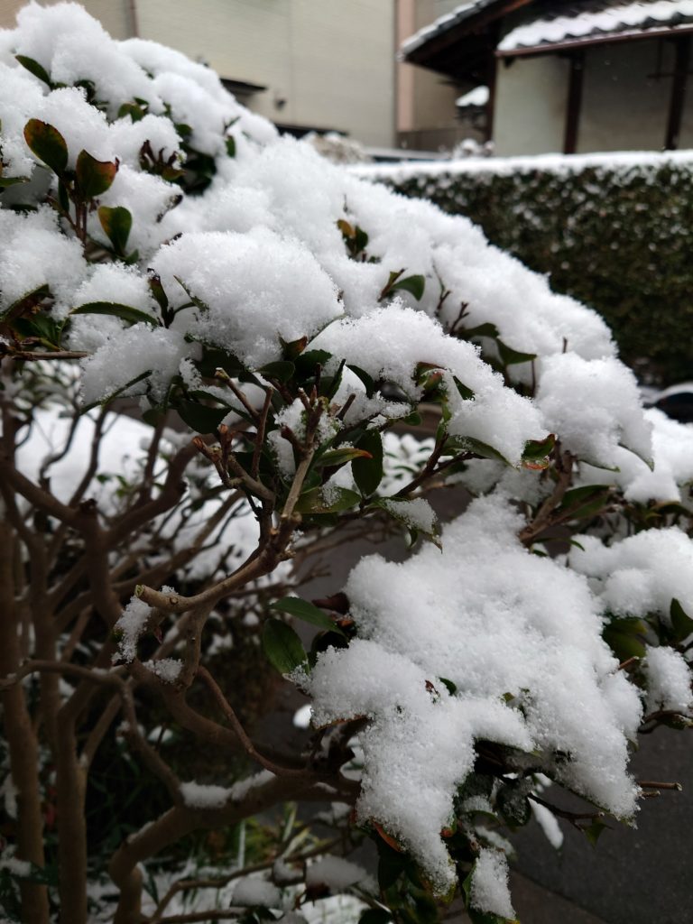 京都　雪の日　今小路 あま宮