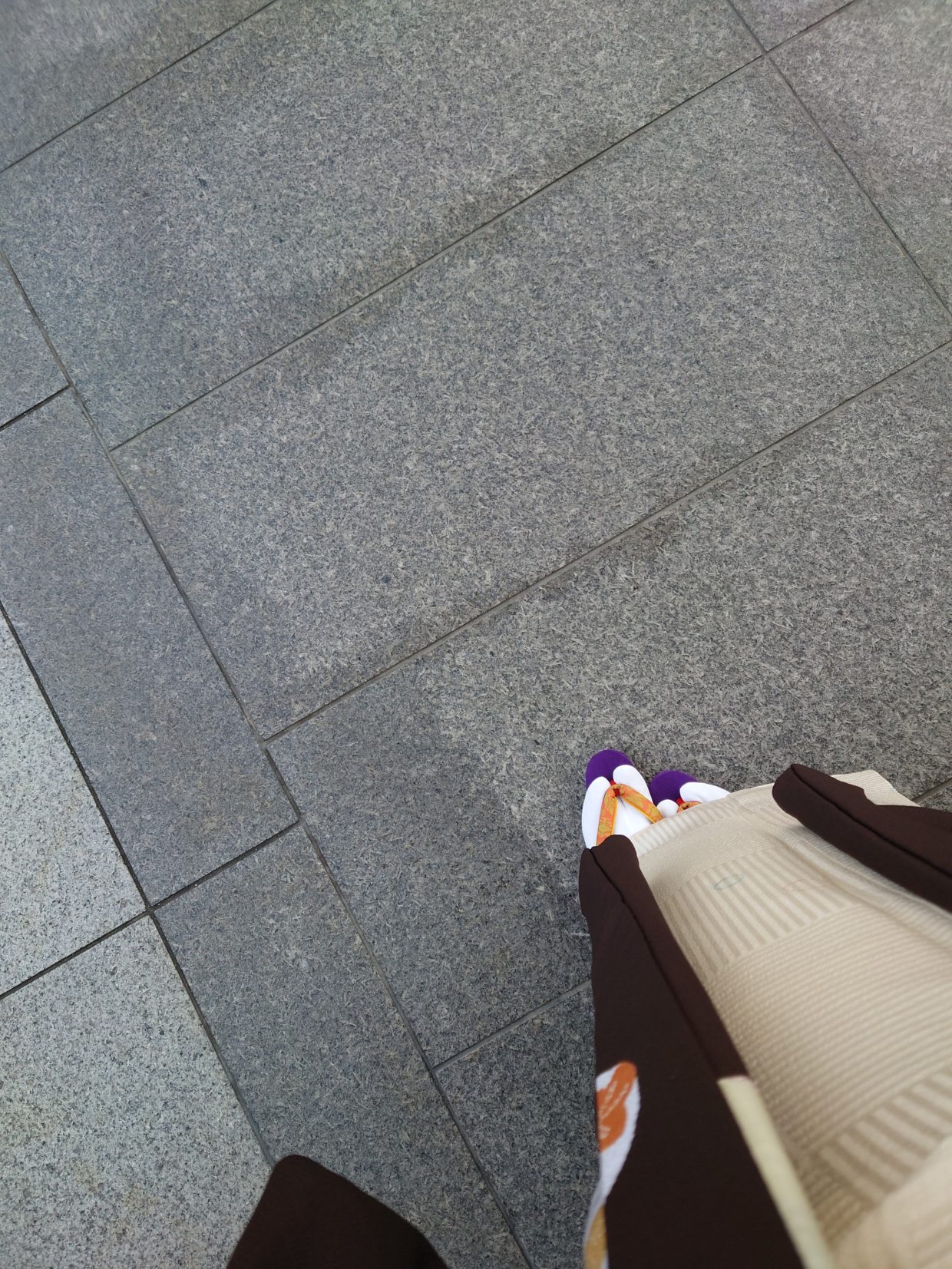 羽織　袷　絵羽織　絞り　今小路 あま宮 室町パトロール