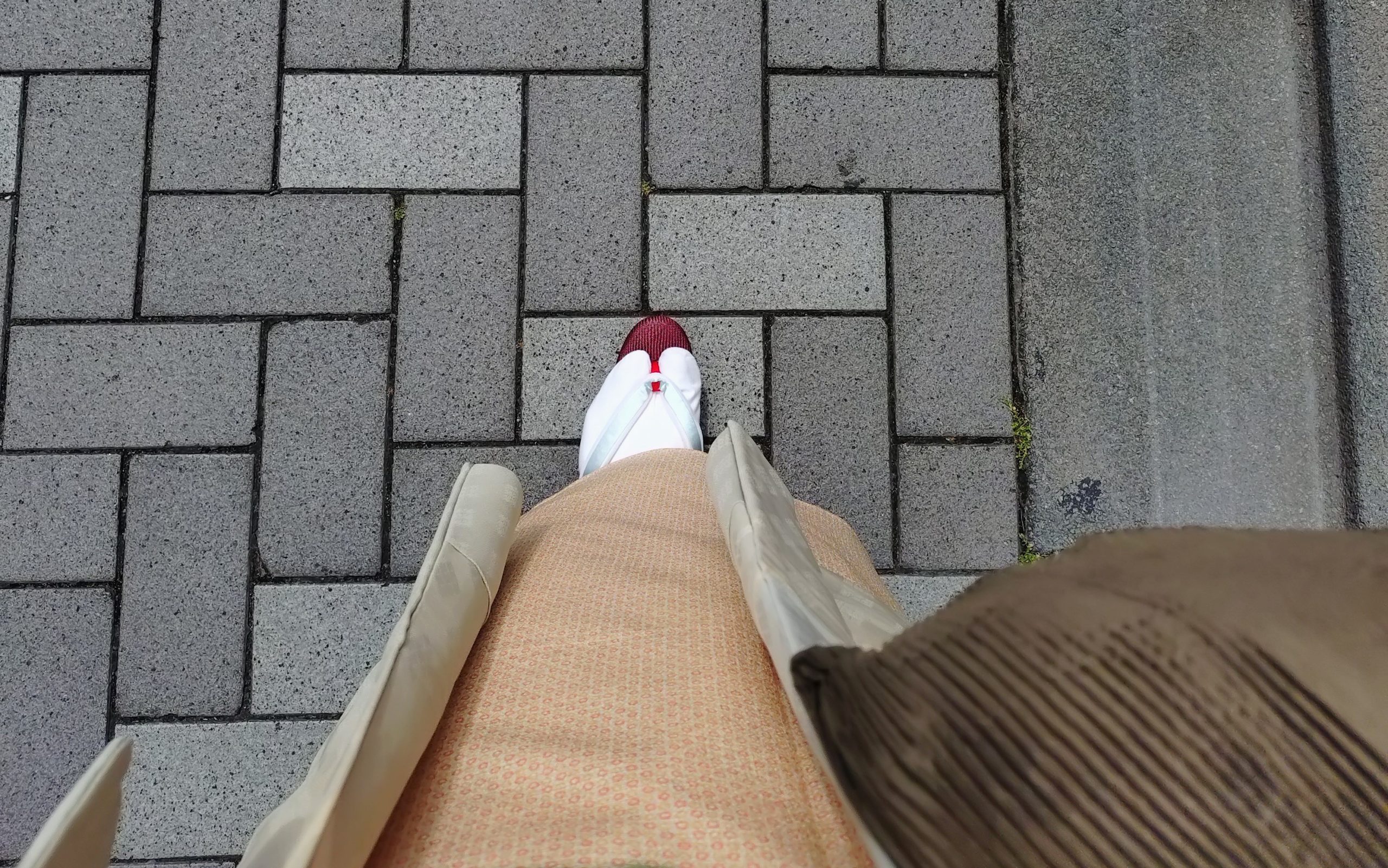 絽ちり 小紋 真糊 伊勢型紙小紋 丸並び 装履 祇園ない藤 麻 今小路 あま宮 水無月のキモノ 室町パトロール