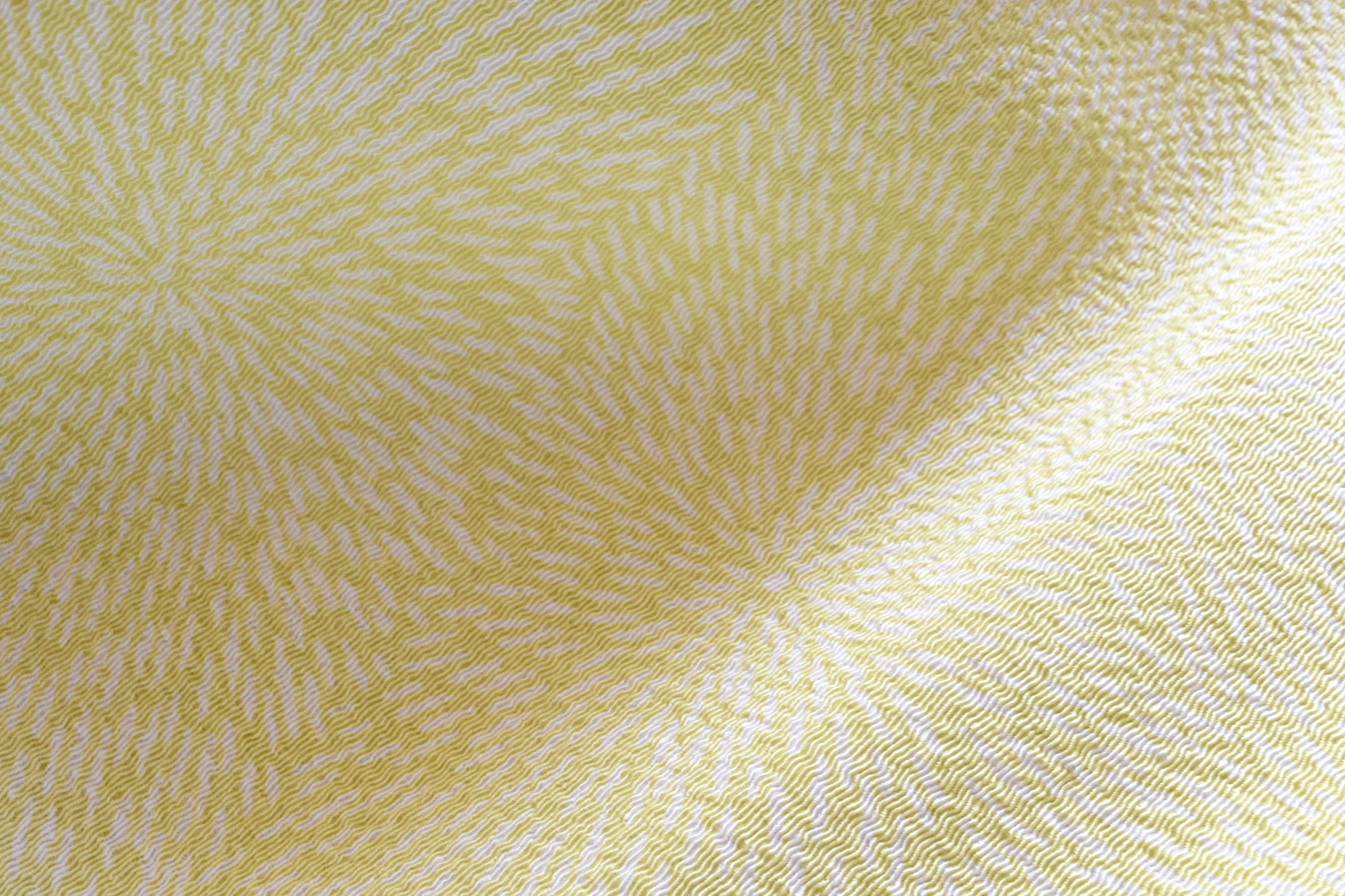 オリジナル帯揚げ　小紋帯揚げ　2025年秋　今小路 あま宮 むじな菊