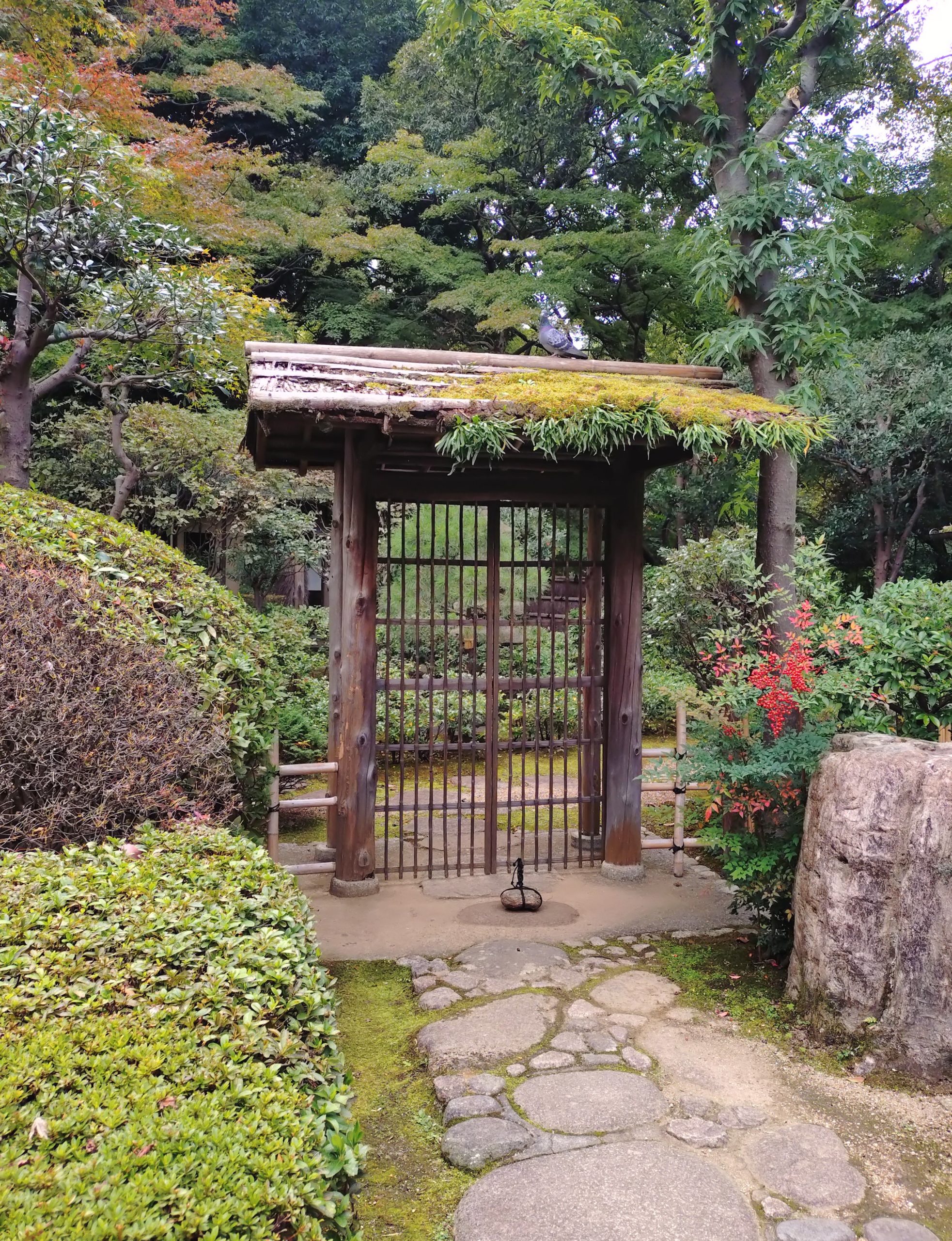 mini會　ホテルニューオータニ　お庭散歩　今小路 あま宮