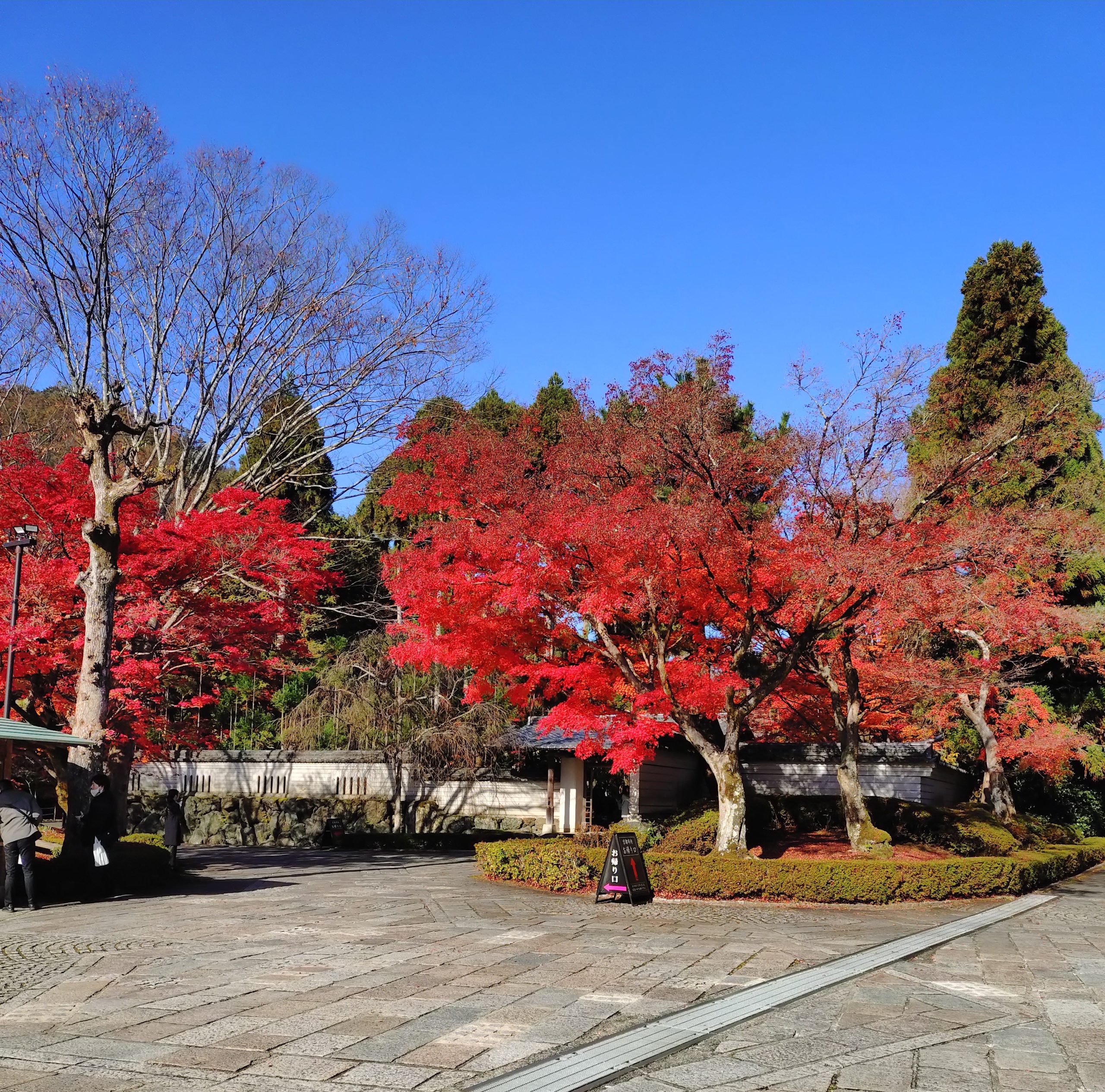 京都 紅葉 しょうざんリゾート 2025年11月30日 今小路 あま宮