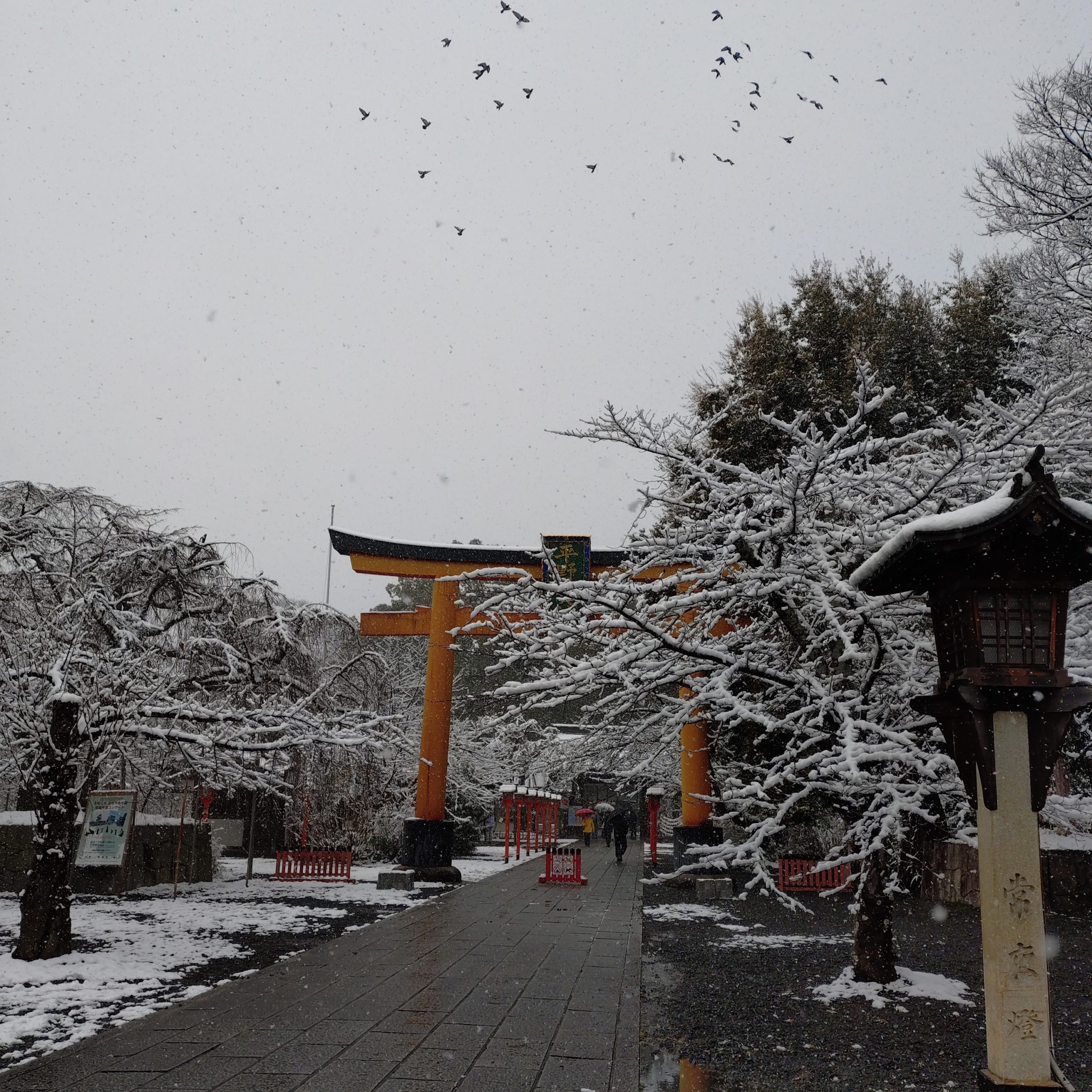 京都 平野神社 雪景色 2026年2月8日 今小路 あま宮