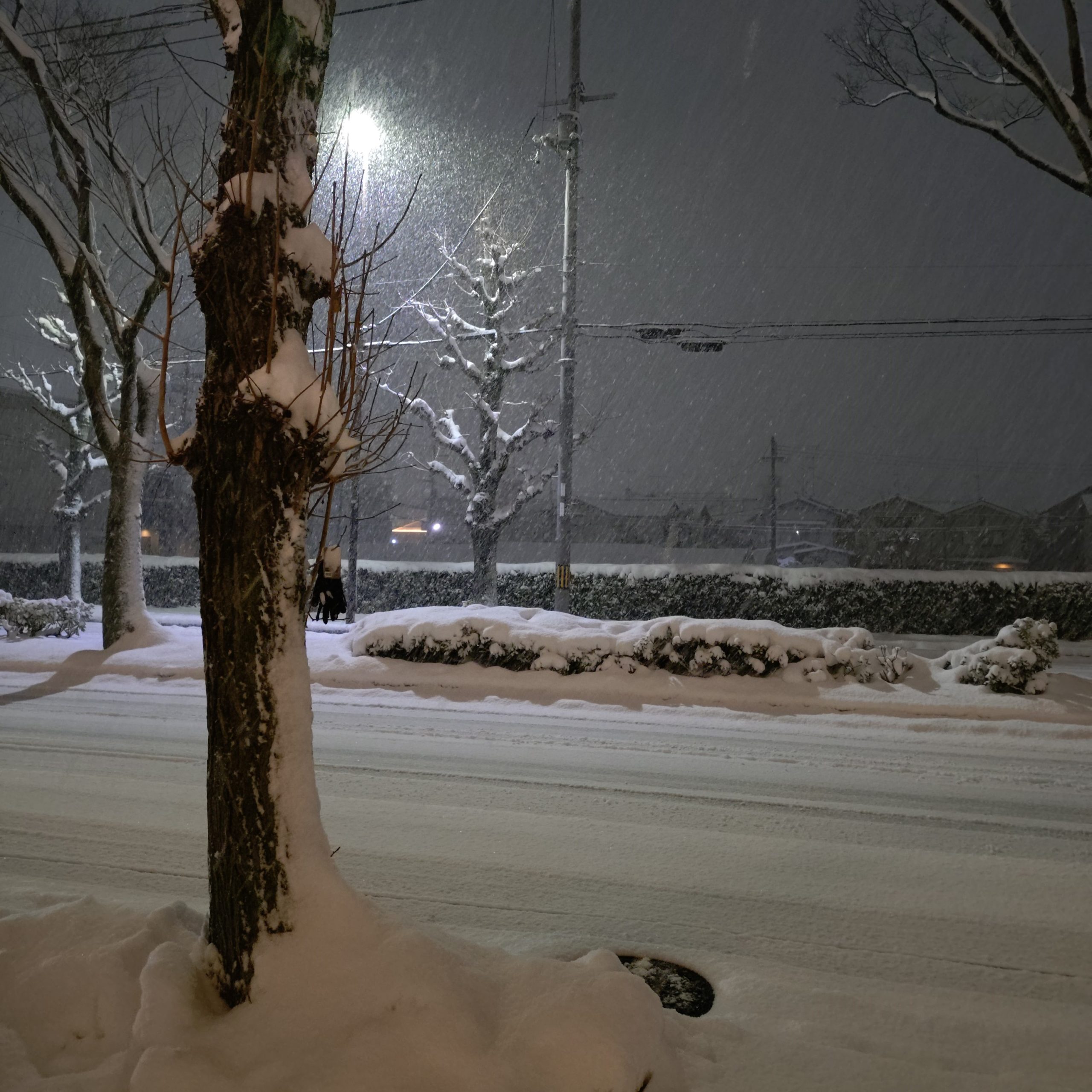 京都 雪景色 今小路 あま宮 2026年2月8日
