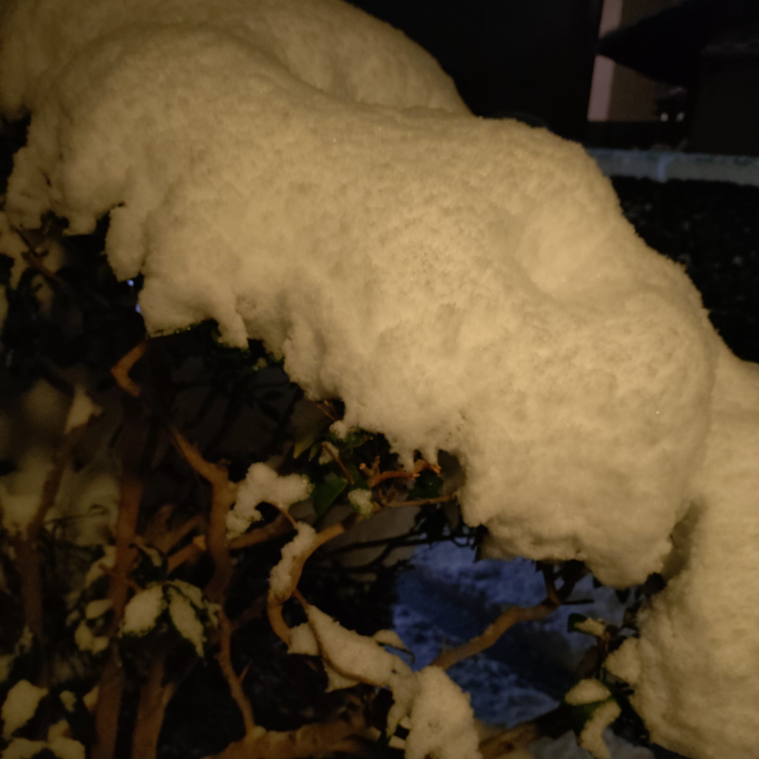 京都 雪景色 今小路 あま宮 2026年2月8日