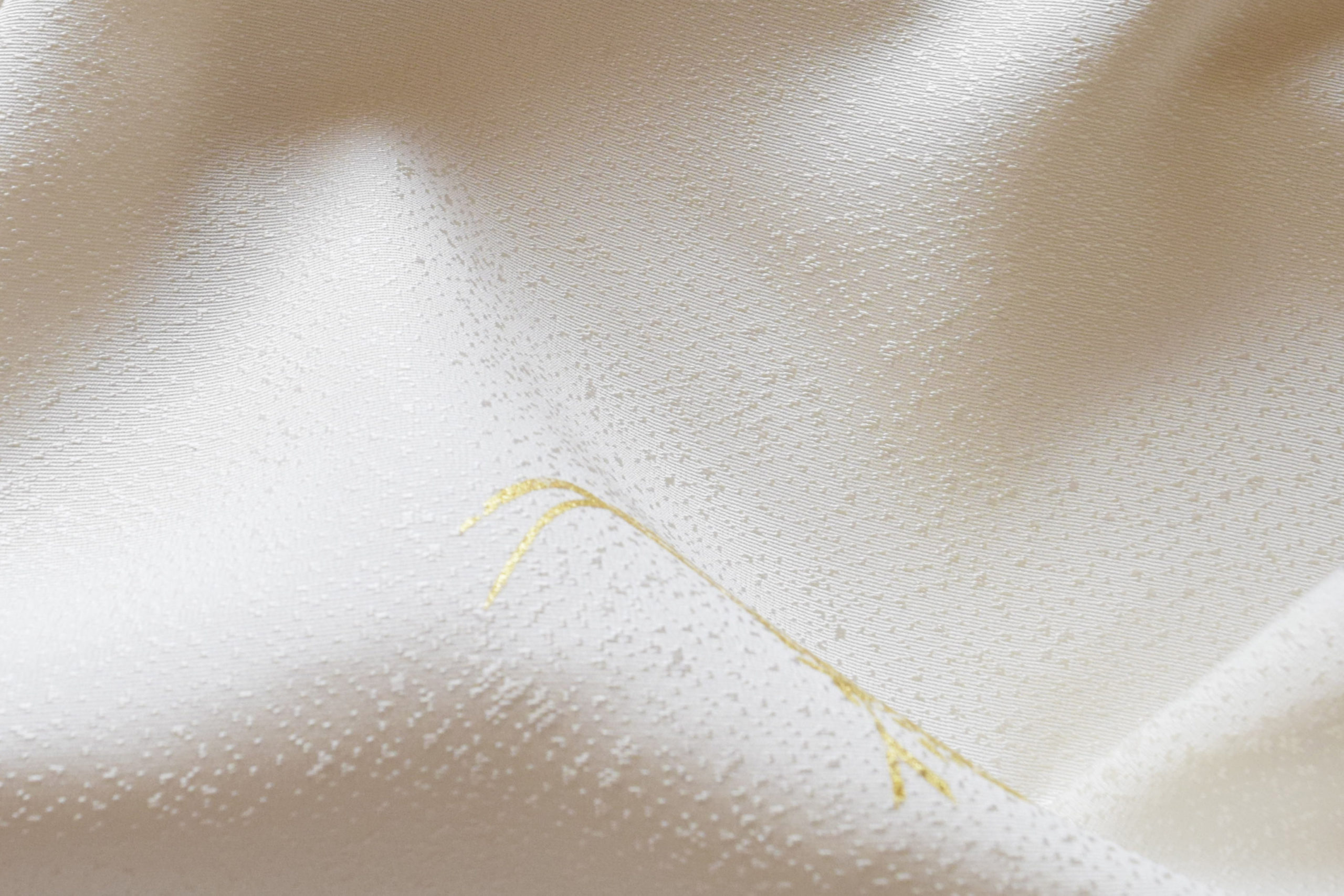 小紋 飛び柄小紋 箔 光琳の蝶 今小路 あま宮 京都