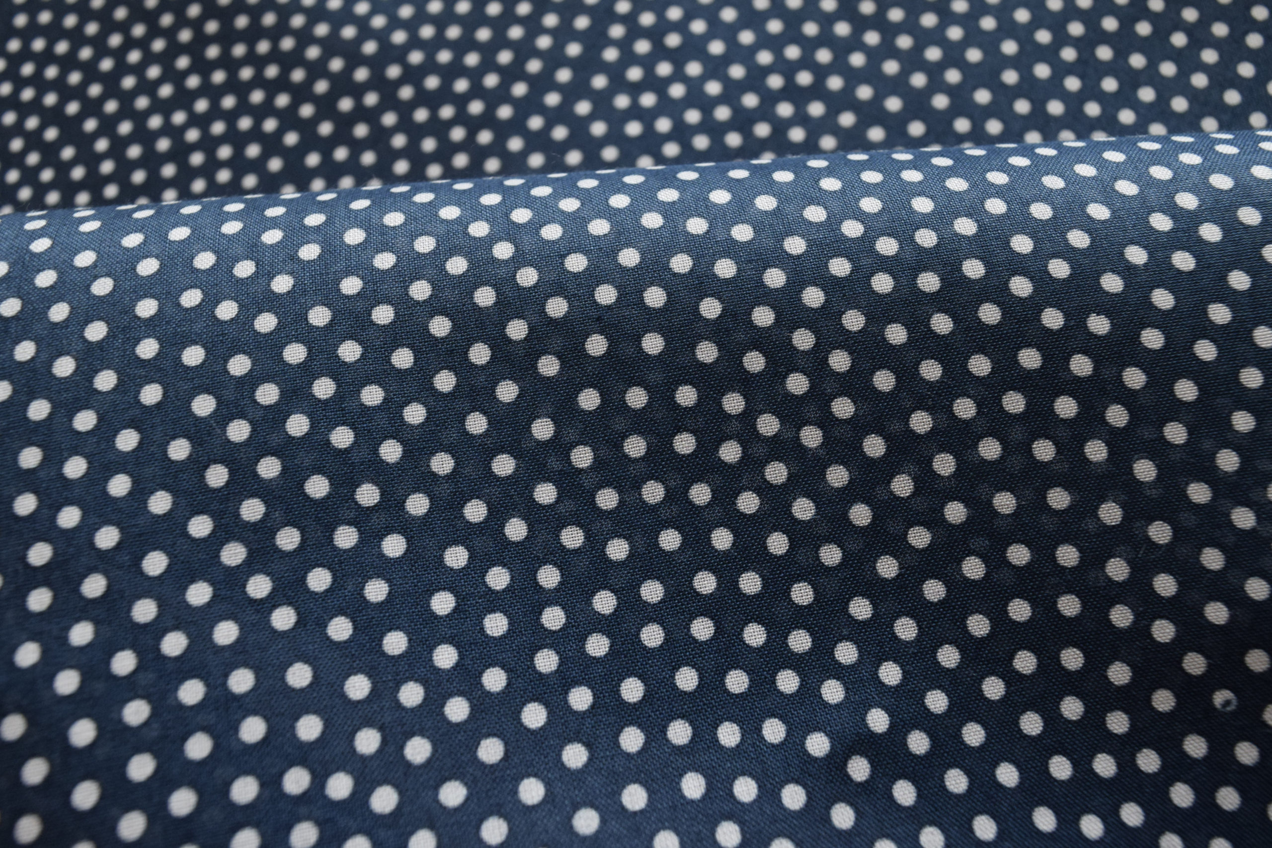 インド綿麻 浴衣 真糊 伊勢型小紋 2026 今小路 あま宮 太鮫